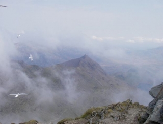  Los picos deslumbrantes